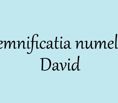 semnificatia-numelui-David-2